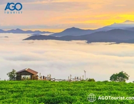 Những địa điểm du lịch Đà Lạt hấp dẫn nhất không thể bỏ qua trong năm 2023
